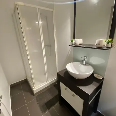 Apartment Le Patio St Etienne - Cite Episcopale - Parking Inclus Albi