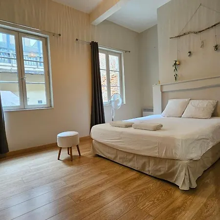 Le Patio St étienne - Cité épiscopale - Parking Inclus Albi