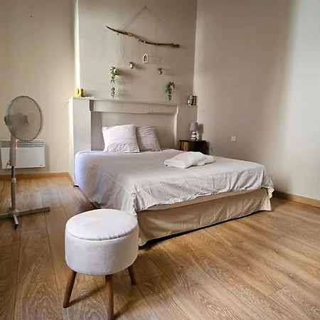 Le Patio St étienne - Cité épiscopale - Parking Inclus Apartamento Albi