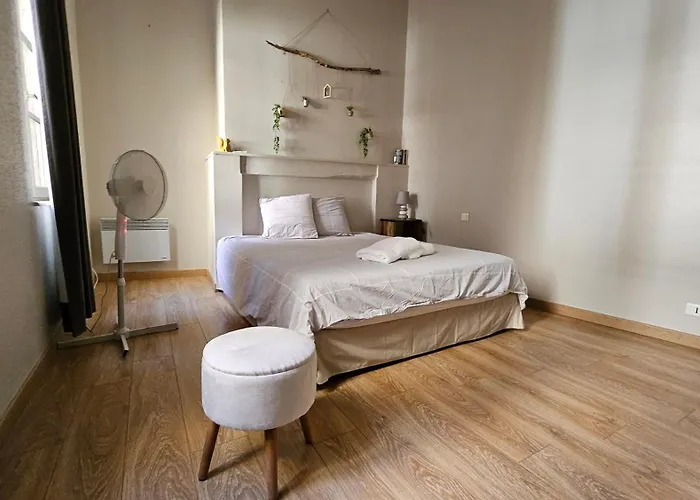 Le Patio St Etienne - Centre Unesco - Parking Gratuit شقة ألبي